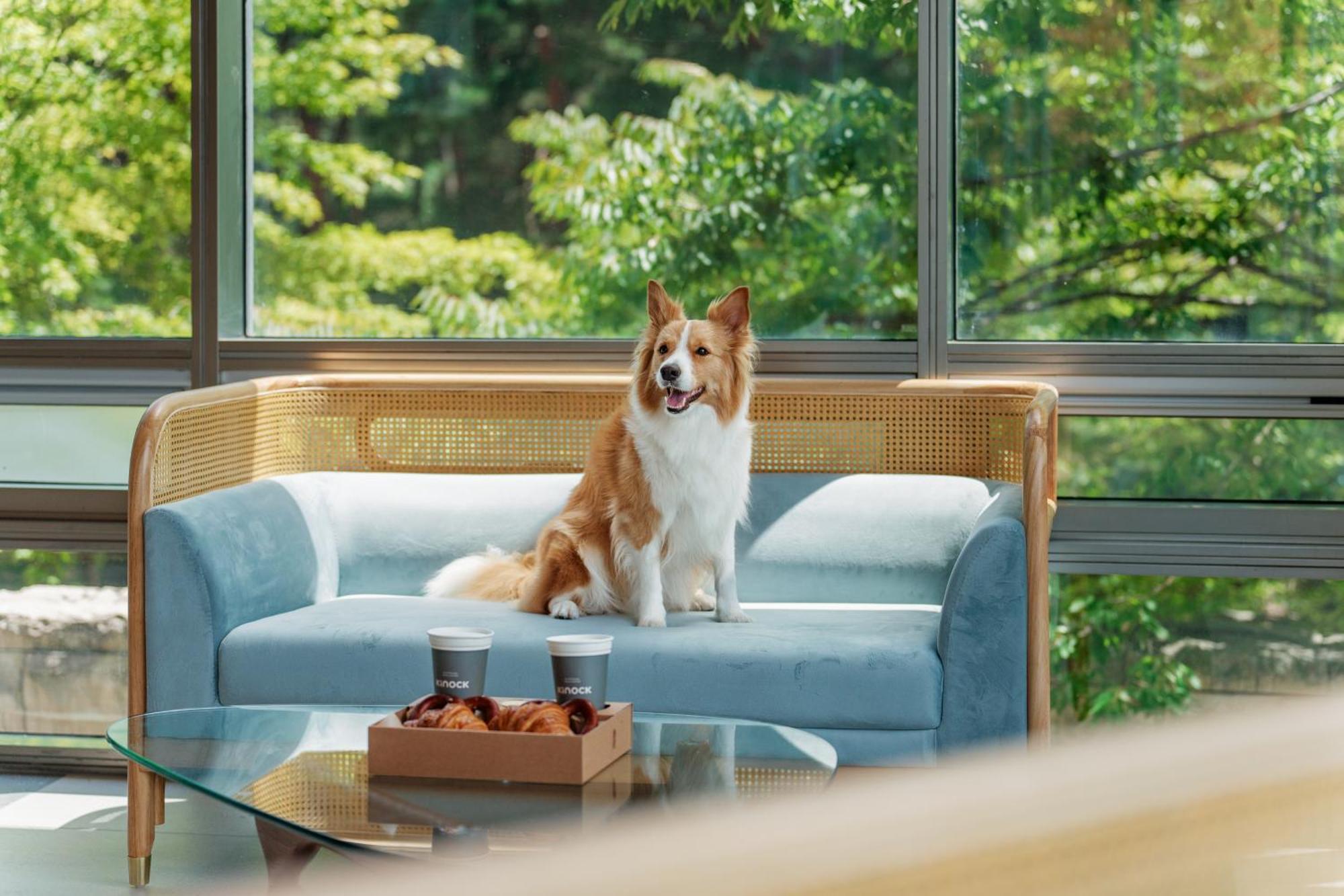 Hotel Kinock Gyeongju Zewnętrze zdjęcie