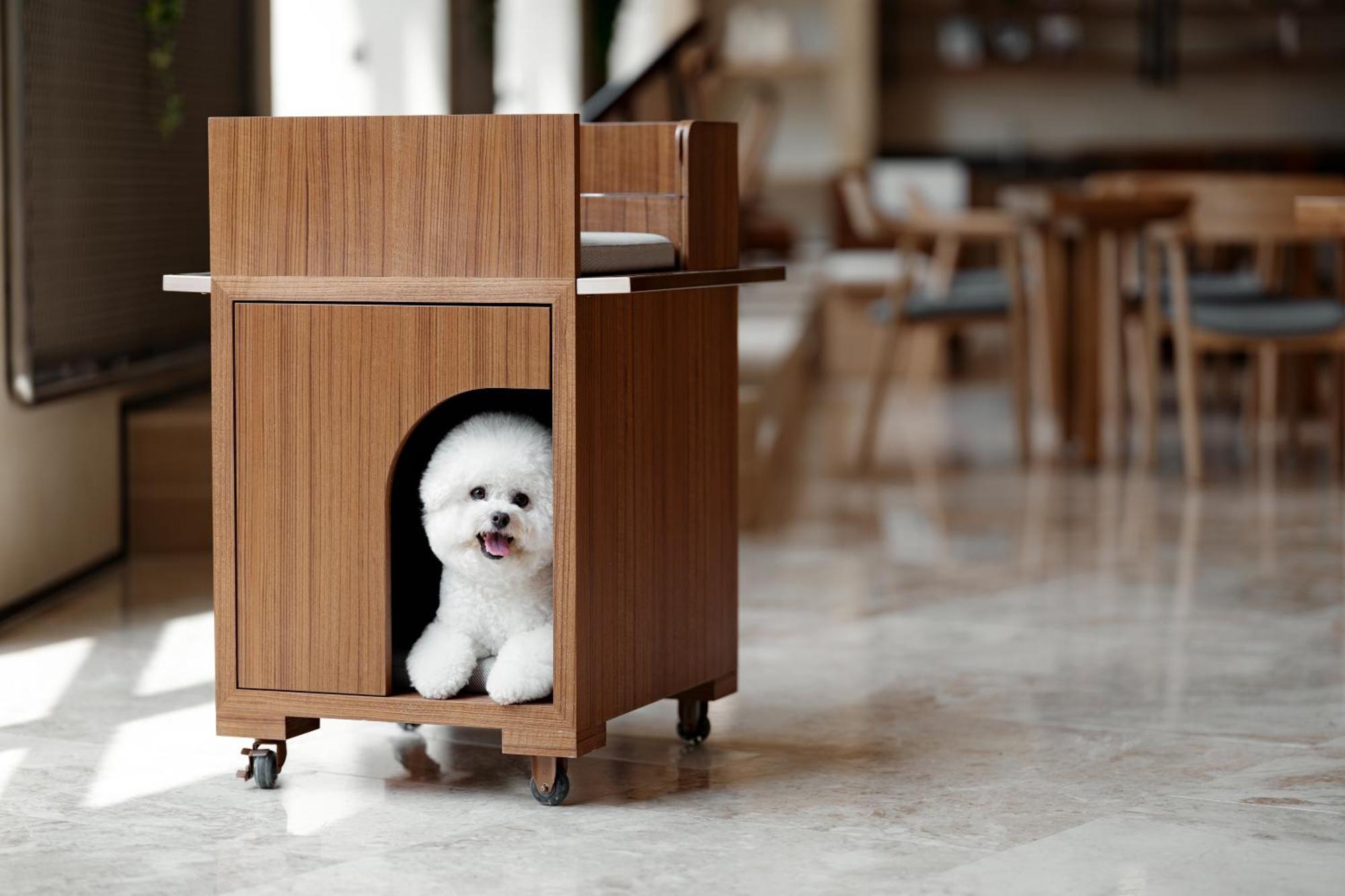 Hotel Kinock Gyeongju Zewnętrze zdjęcie