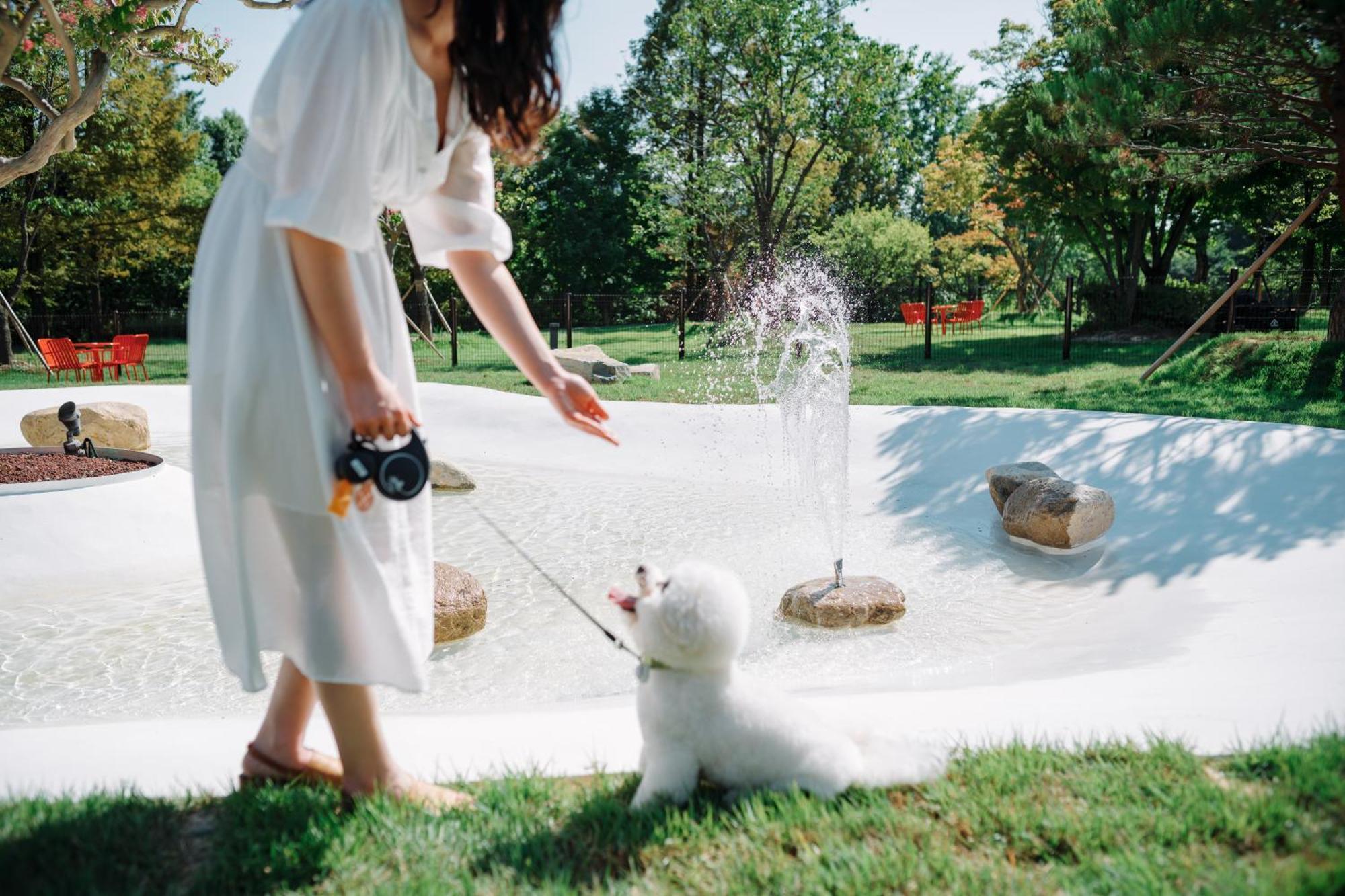 Hotel Kinock Gyeongju Zewnętrze zdjęcie